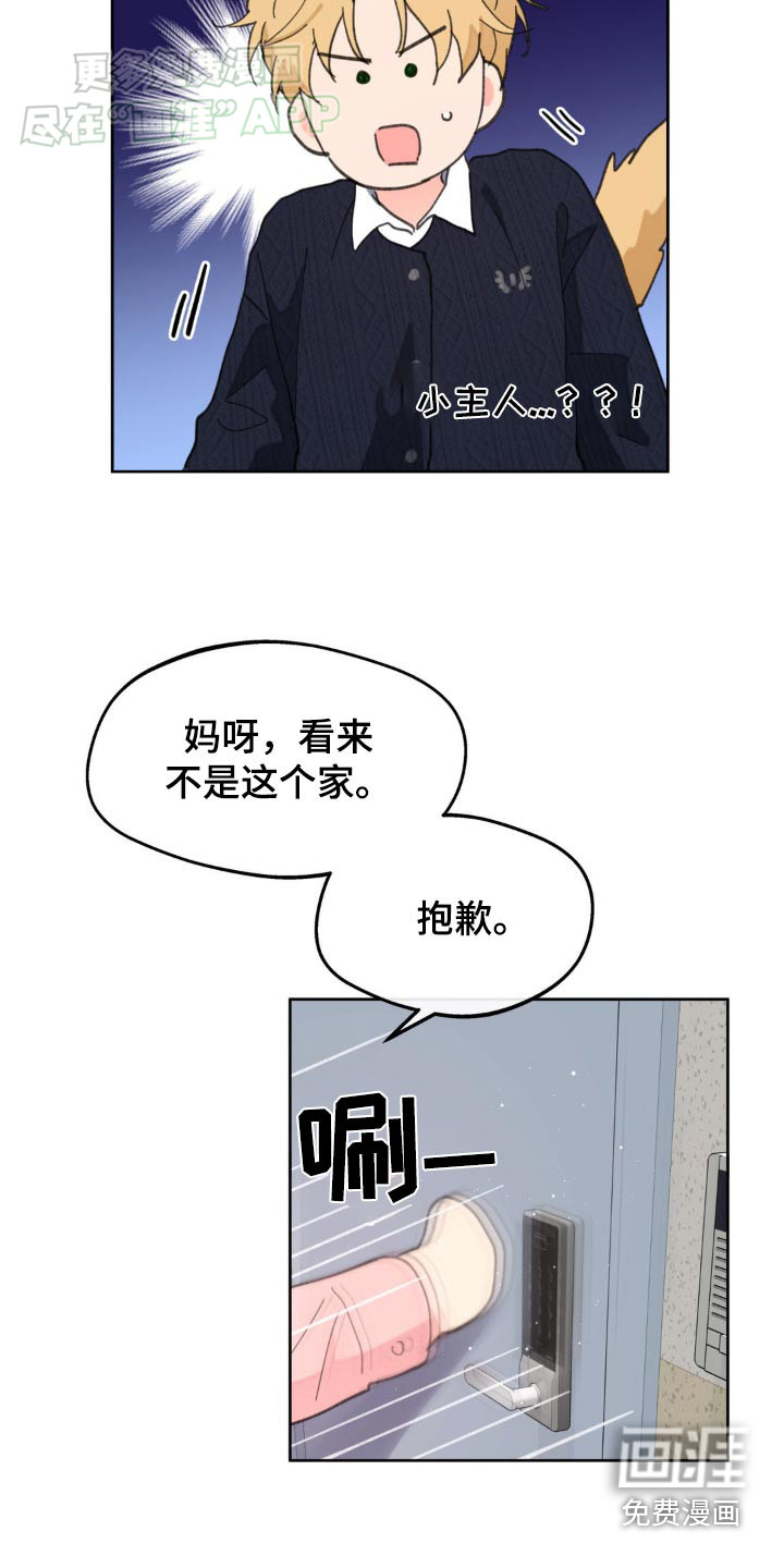 第164话15