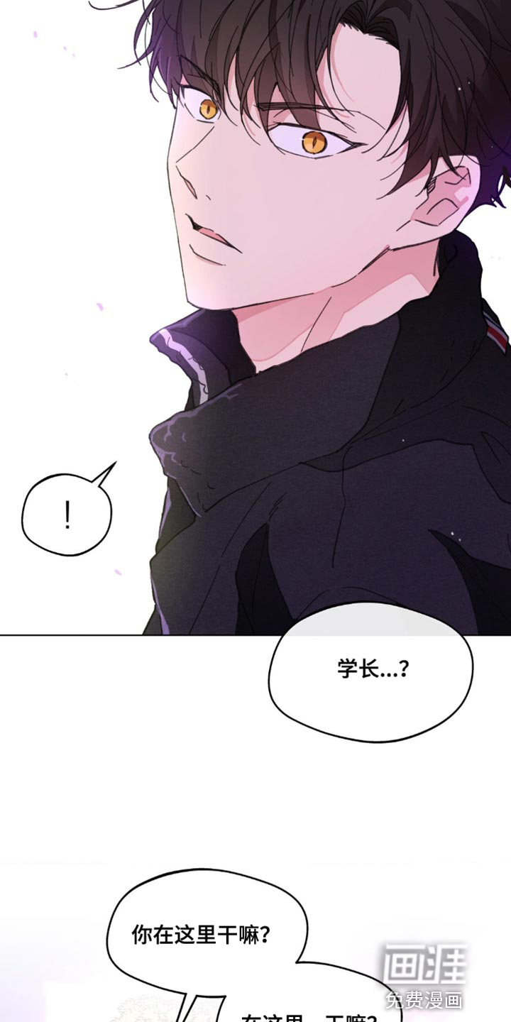第146话7