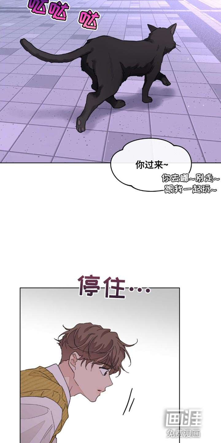第146话3