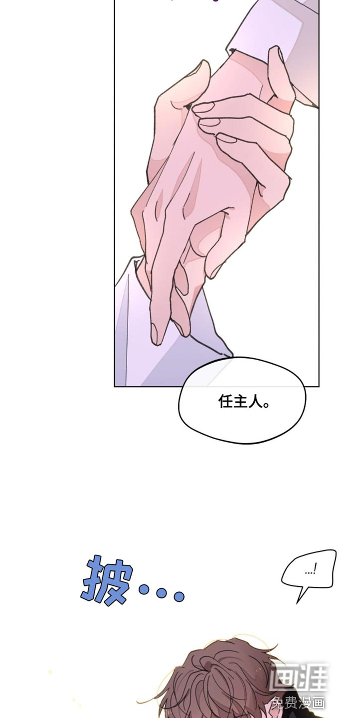 第146话12