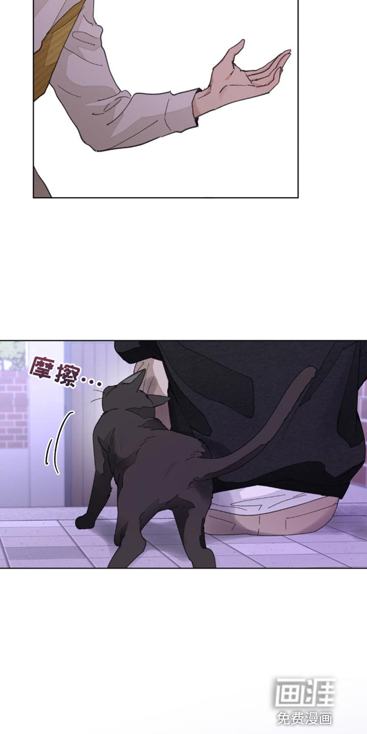 第146话4