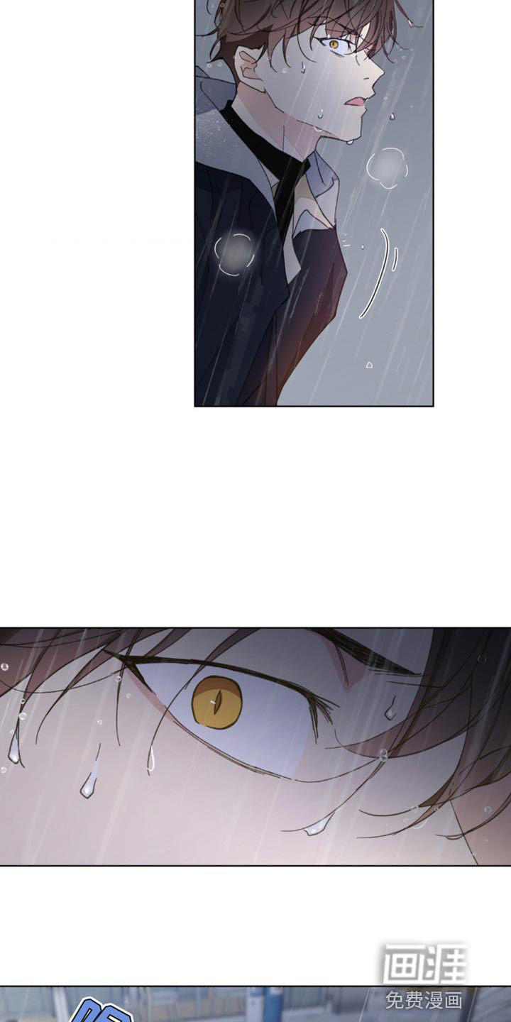 第137话5