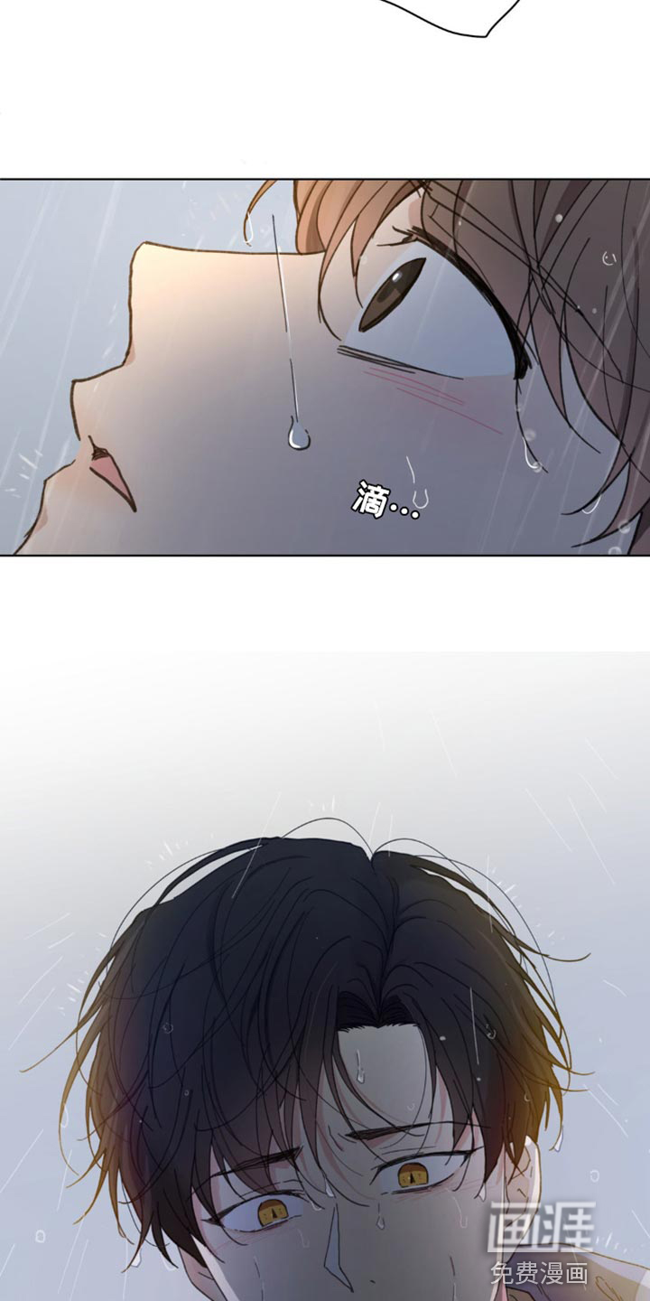 第137话15