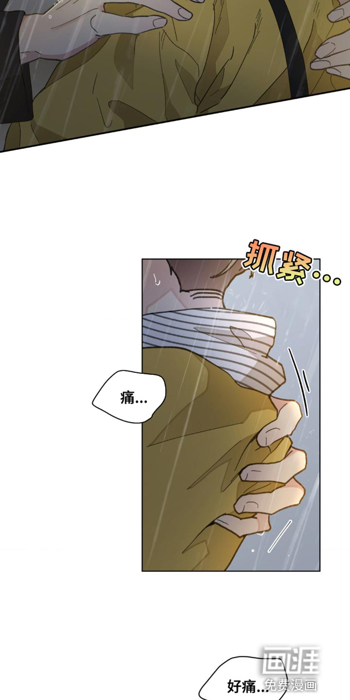 第137话14