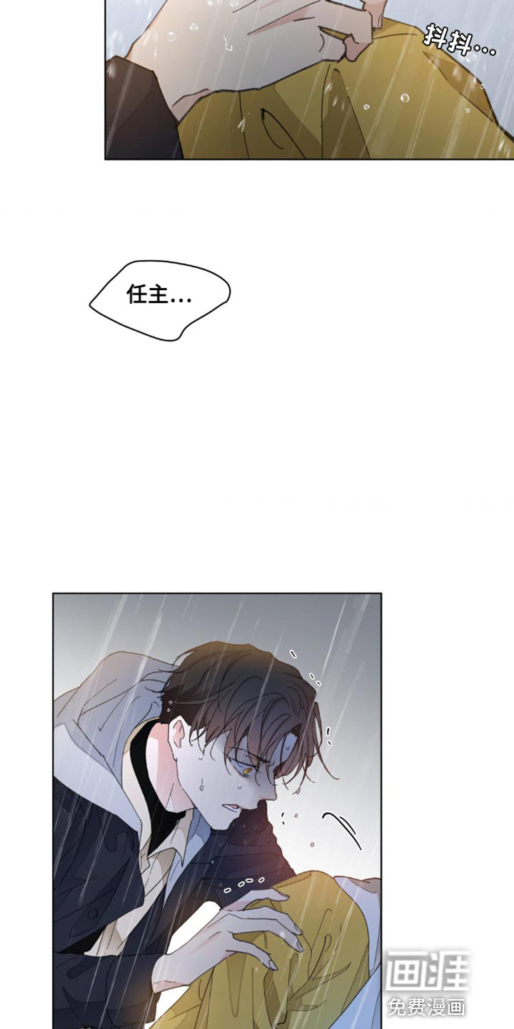 第137话11