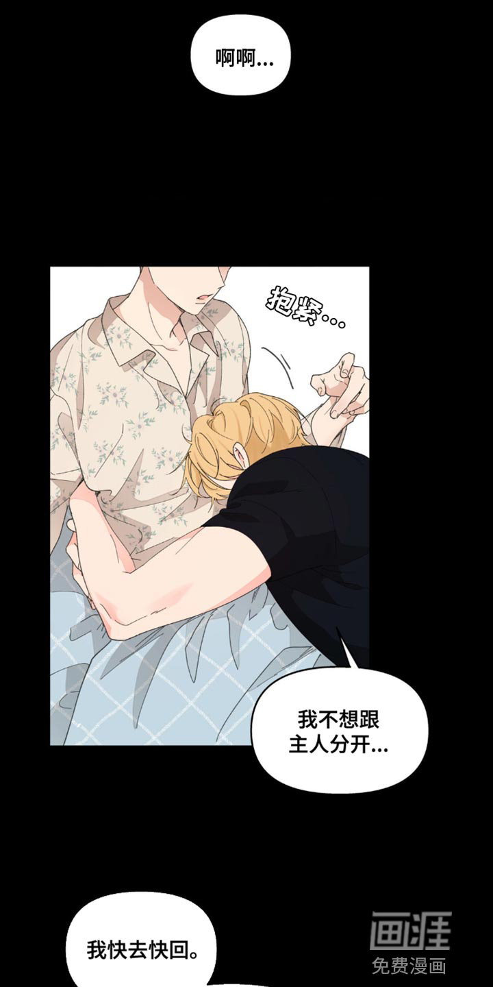 第135话11
