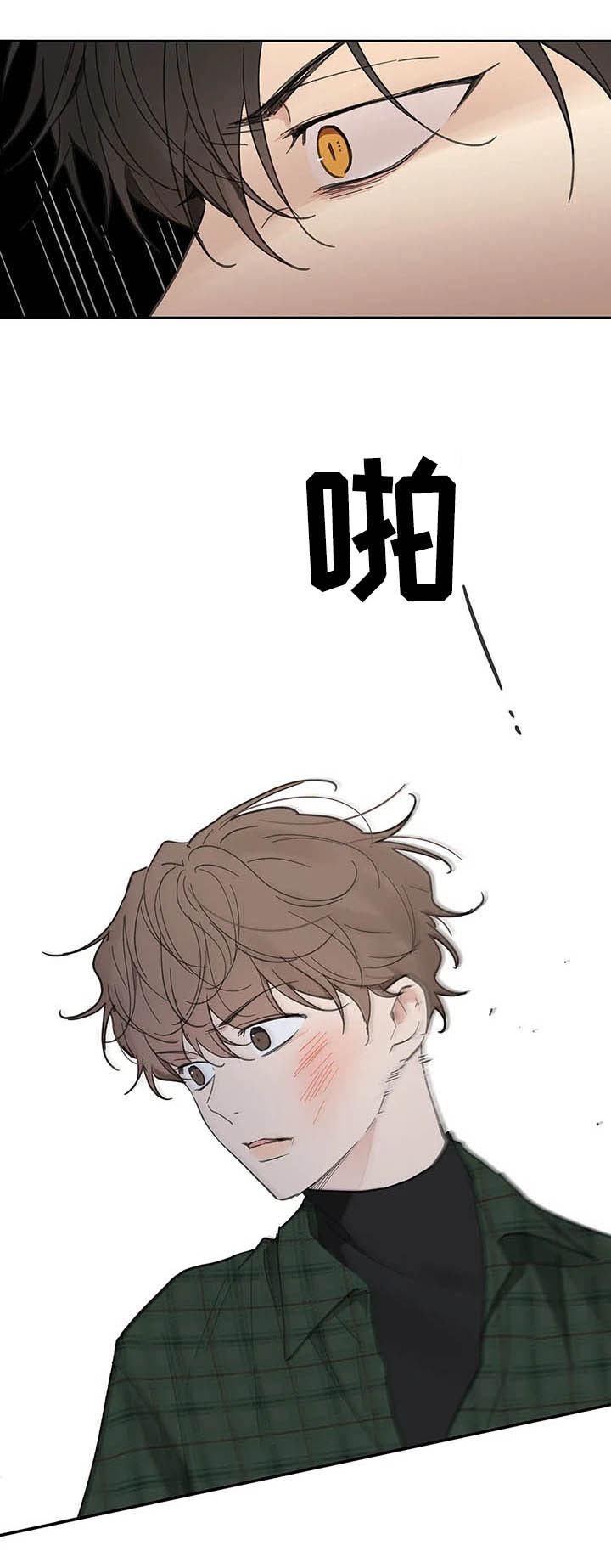 第120话1
