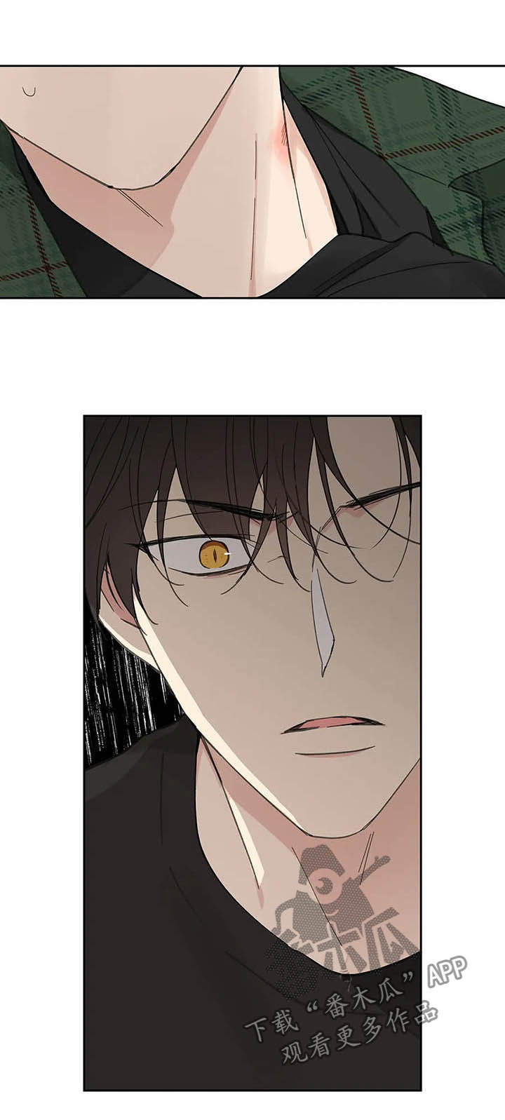 第118话17