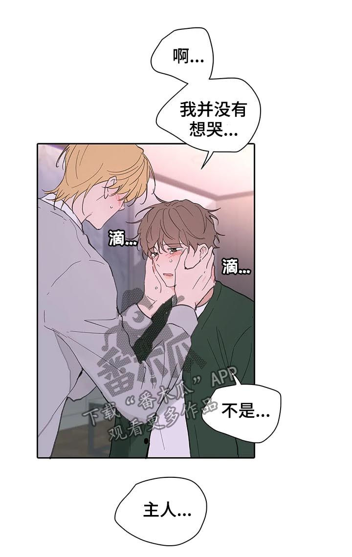 第114话11