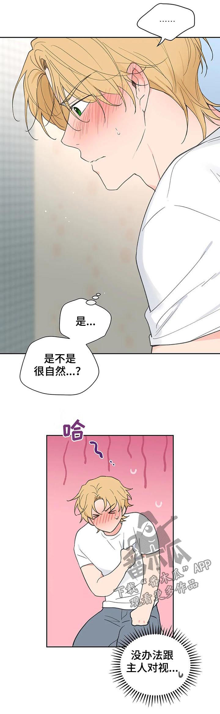 第98话15