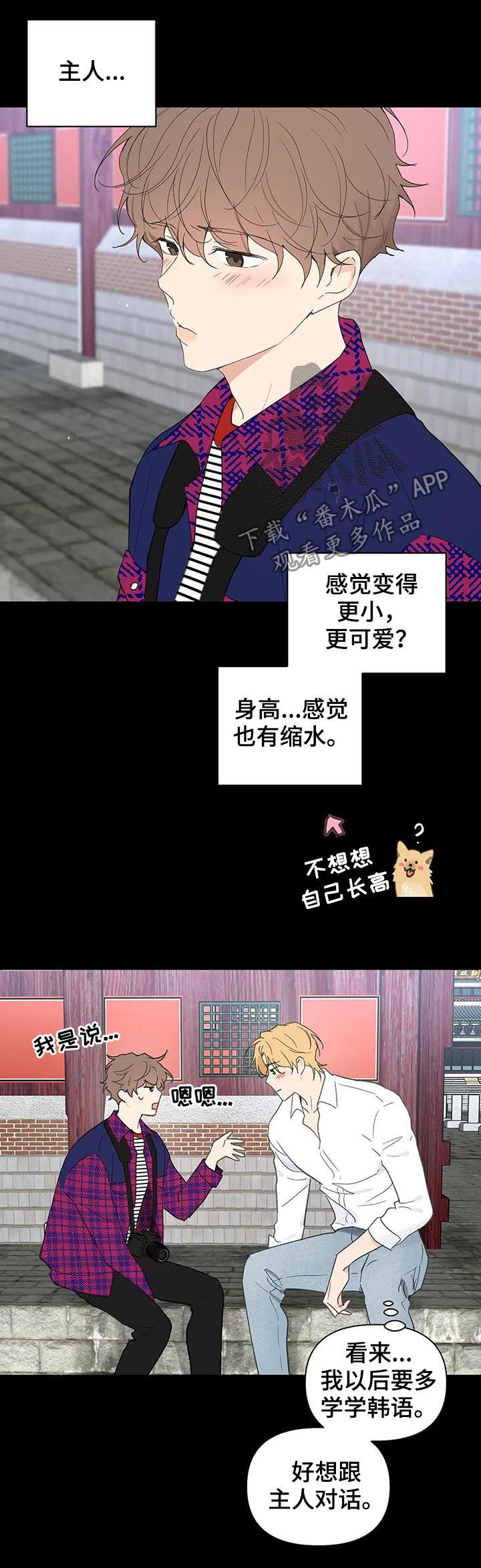第95话17