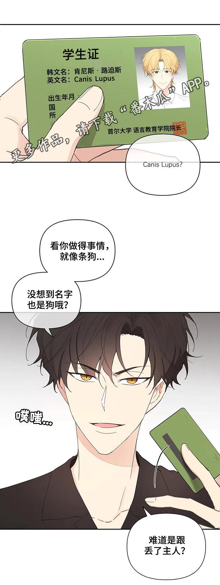 第51话0