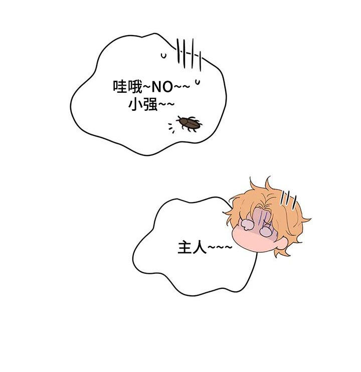 第51话15