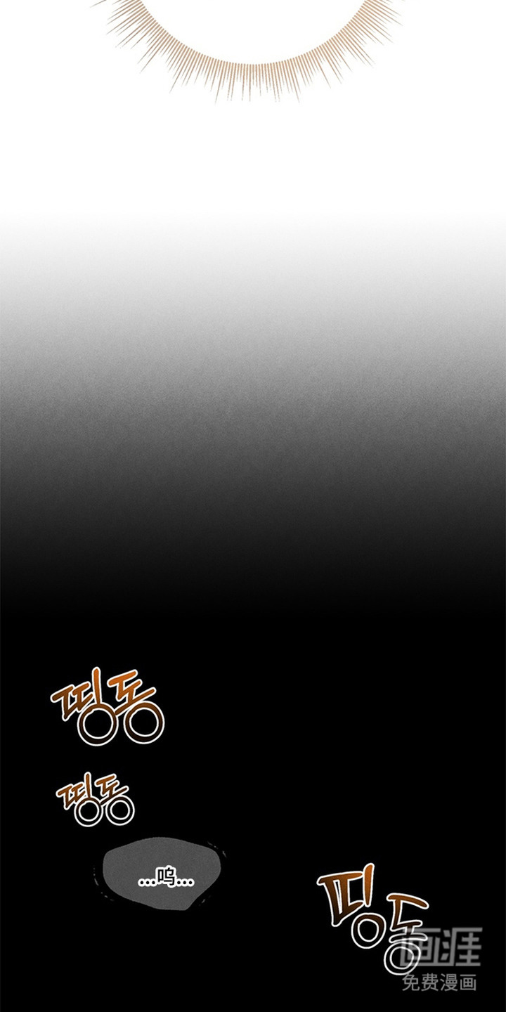 第11话4