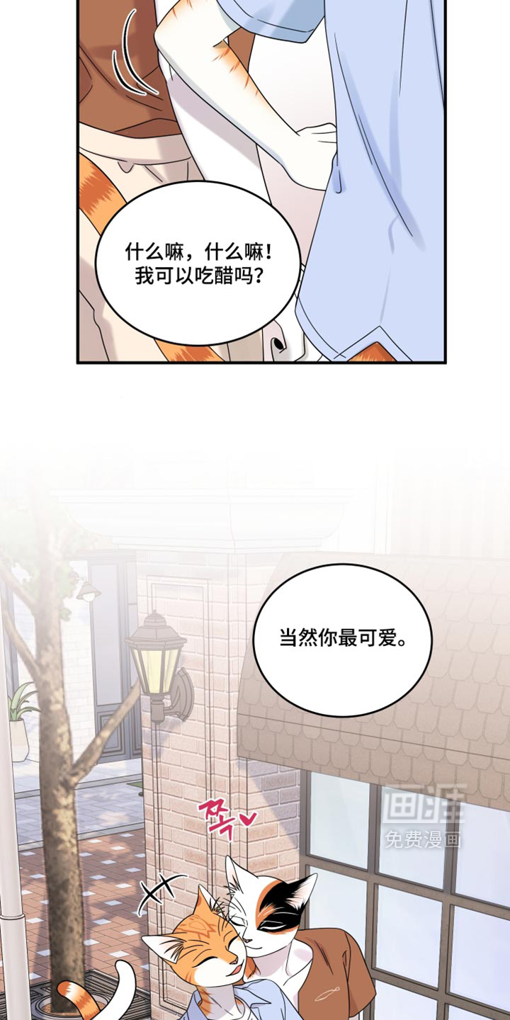 第223话11