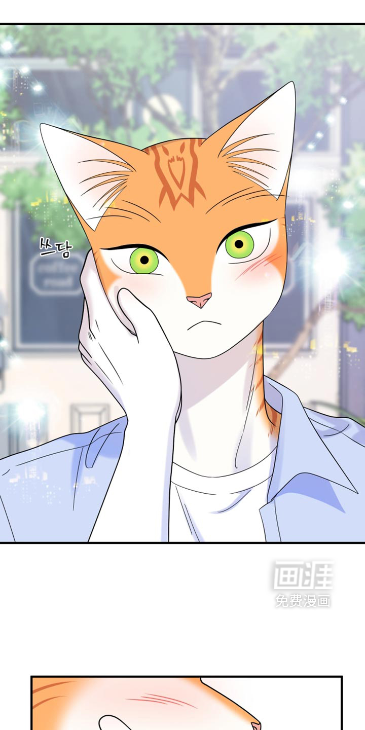 第223话20
