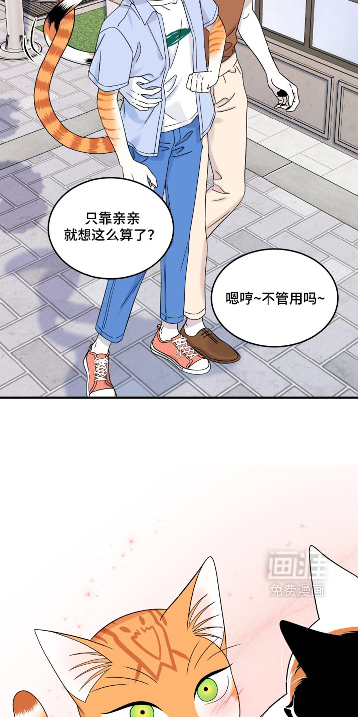 第223话12