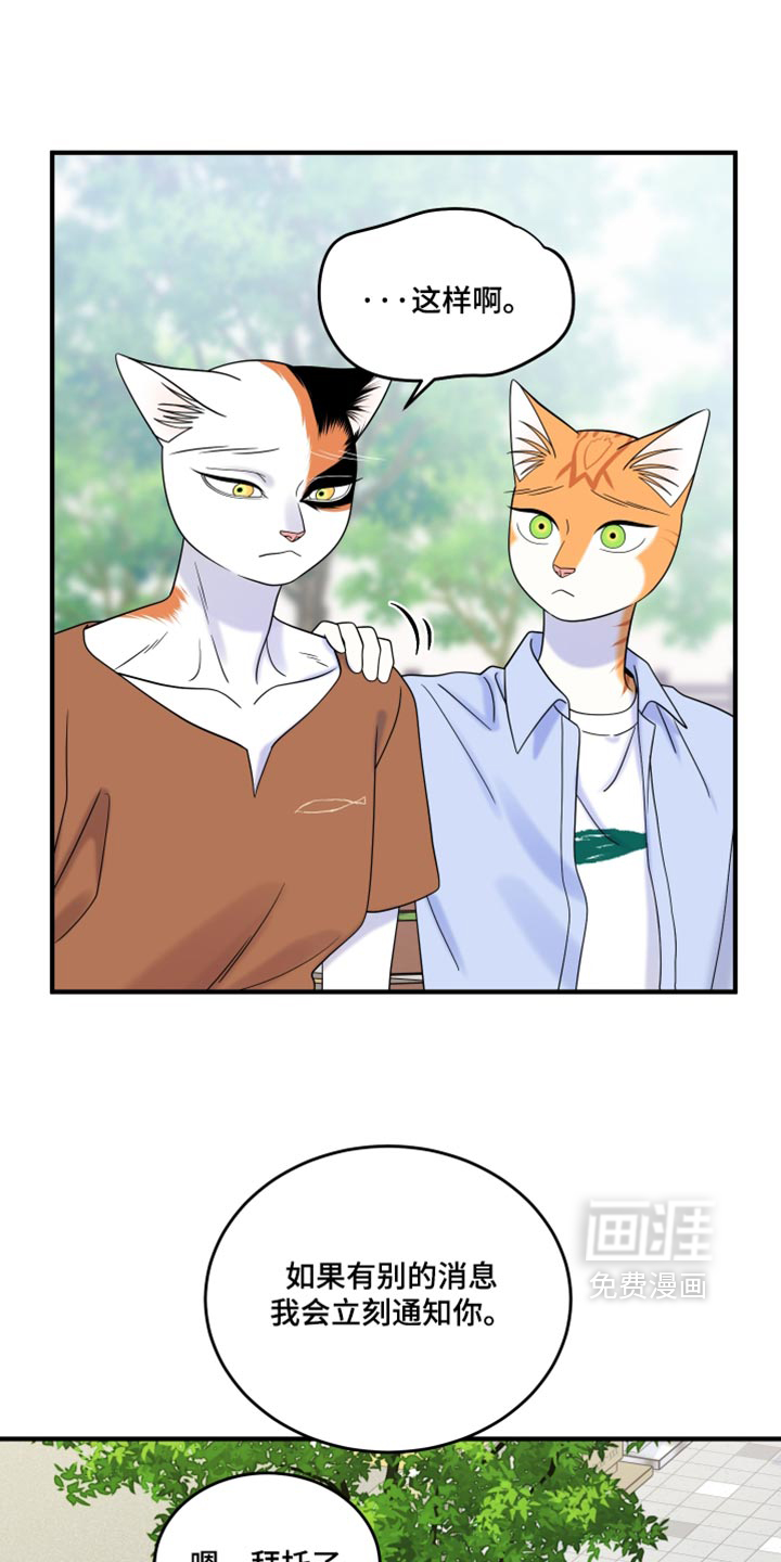 第223话4