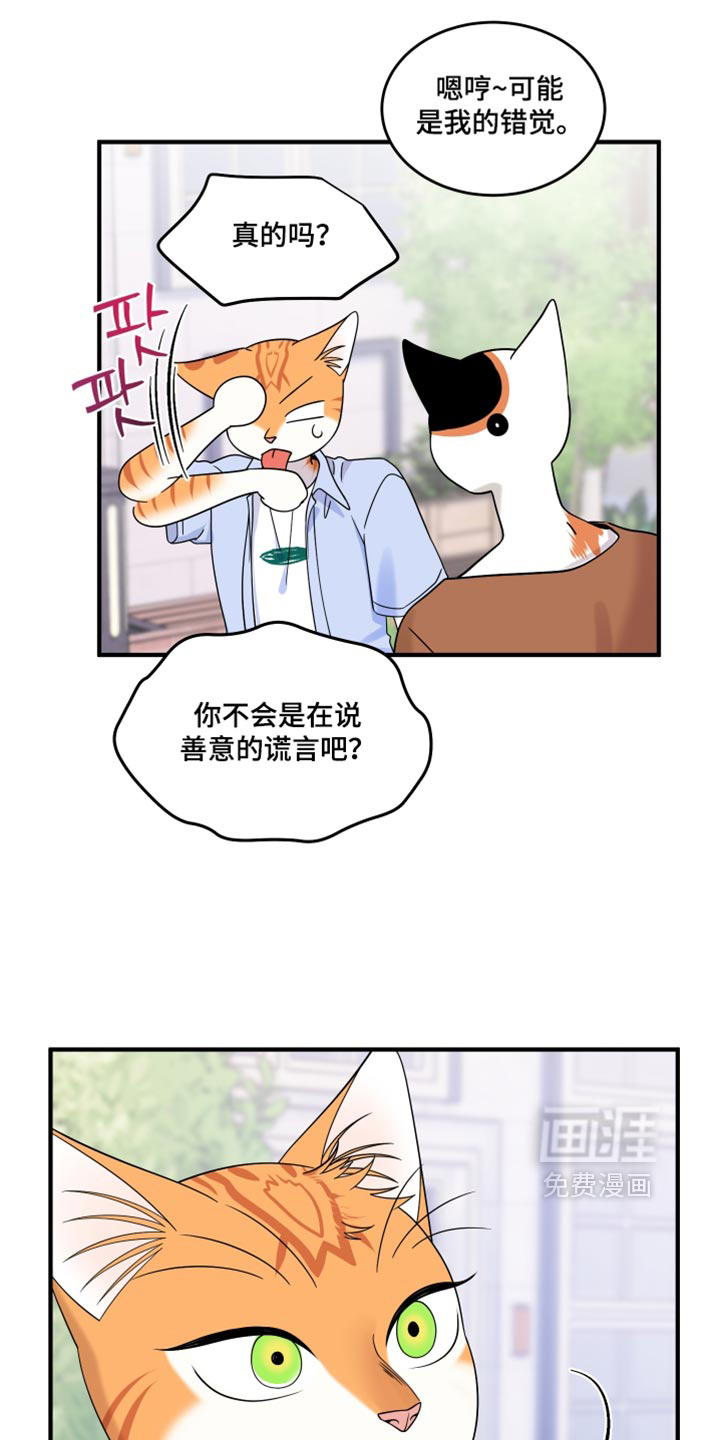 第223话17