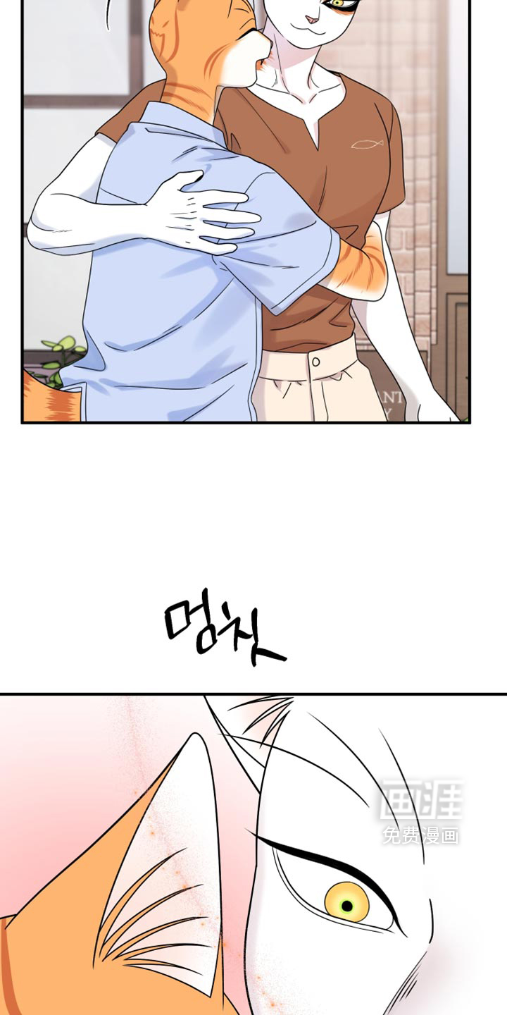 第223话14