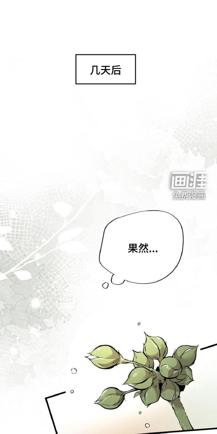 第154话31