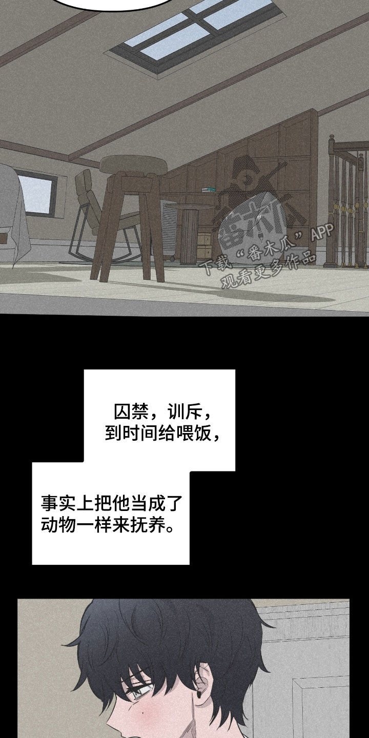 第53话7
