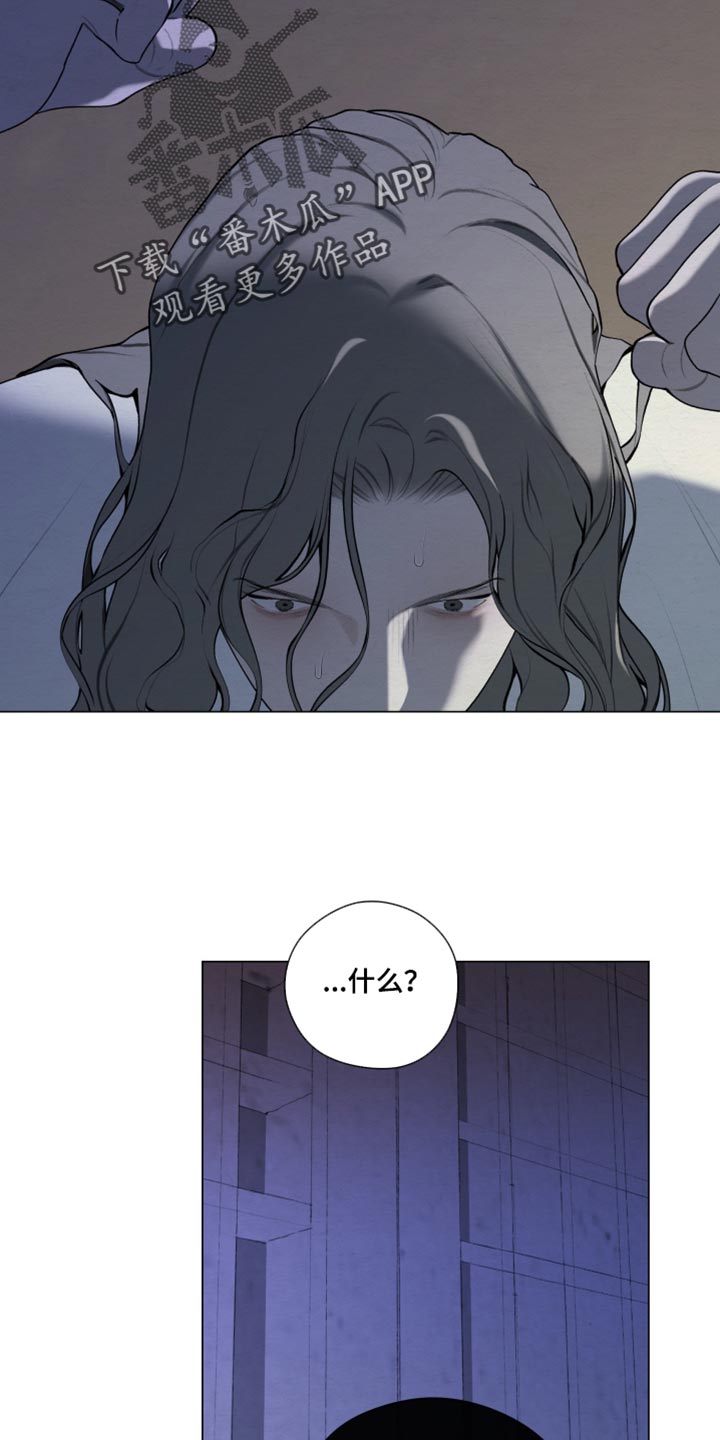 第102话5