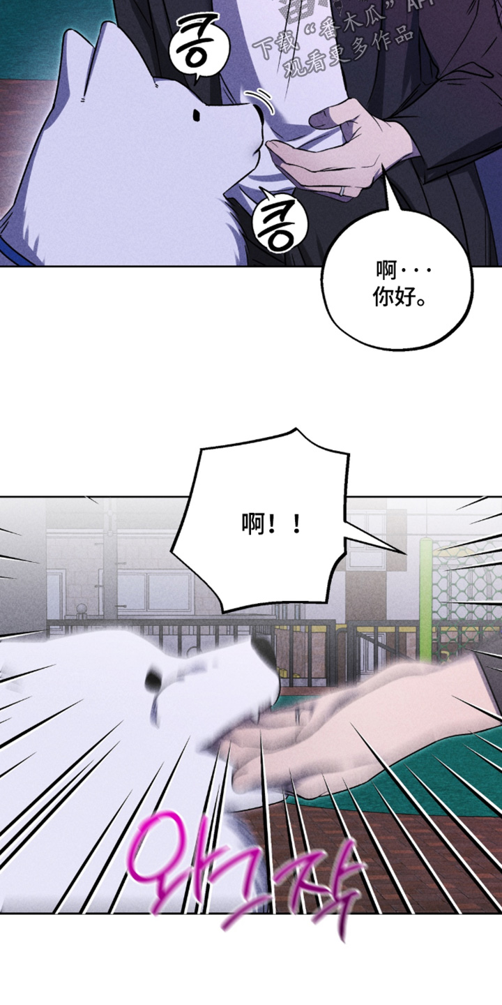 第50话18