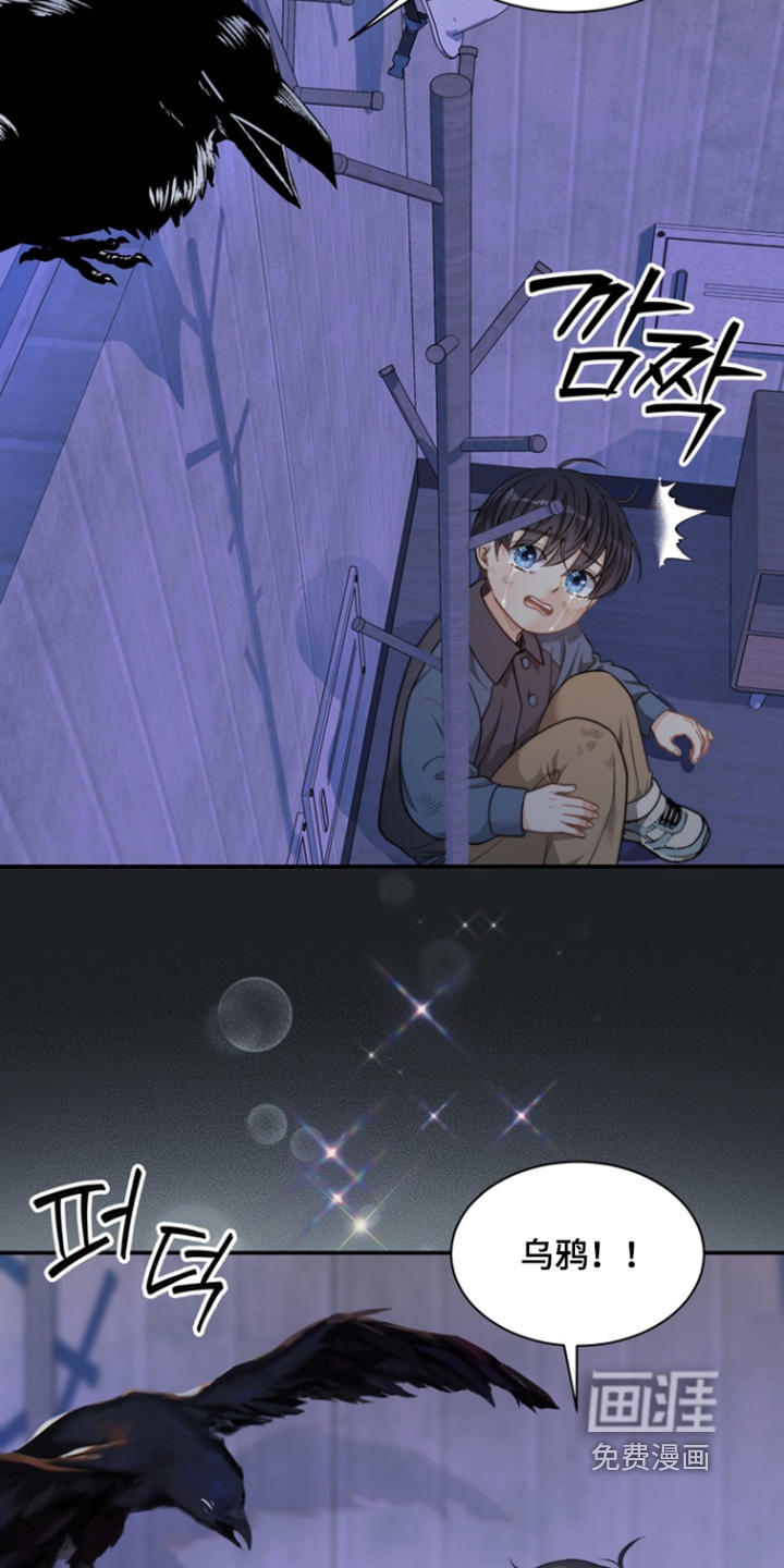 第213话17
