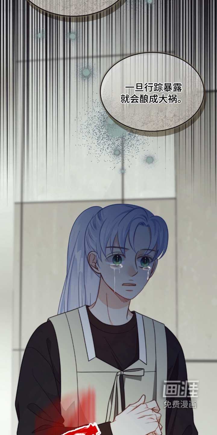 第216话7
