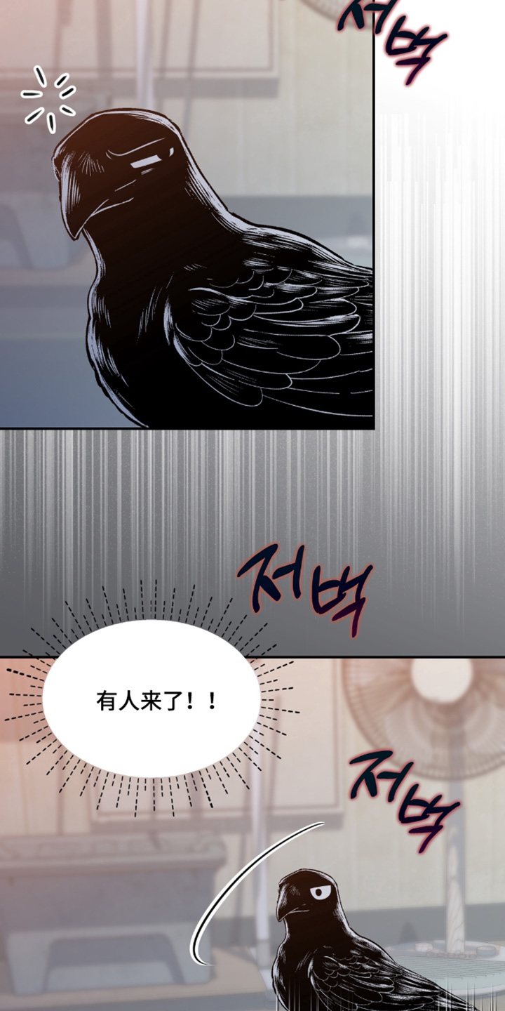 第214话2