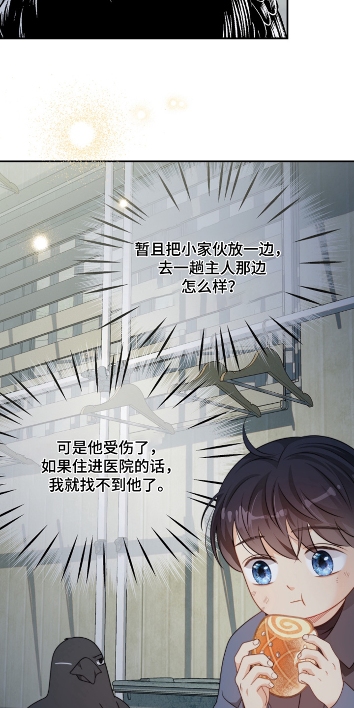 第214话12