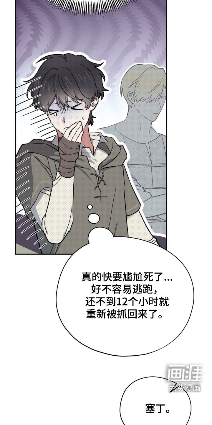 第117话6