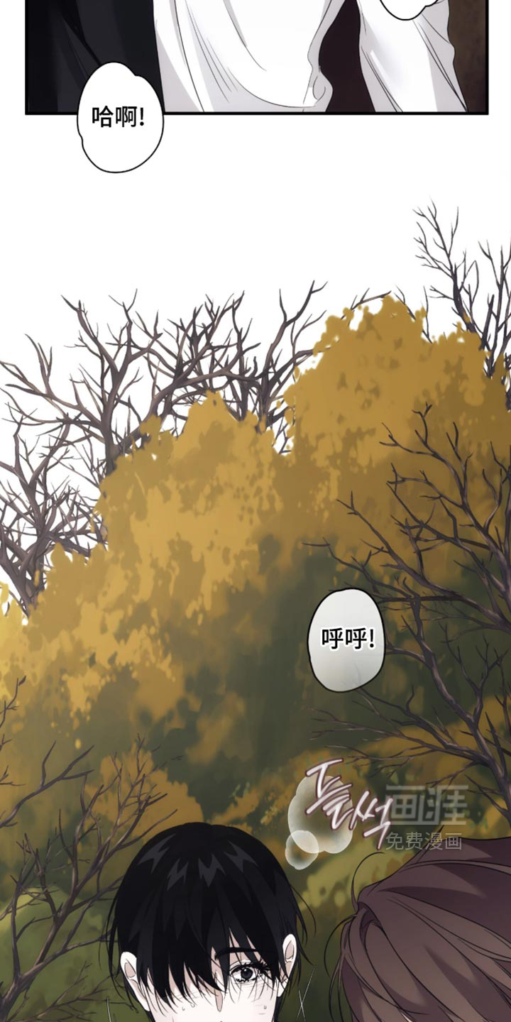 第100话33