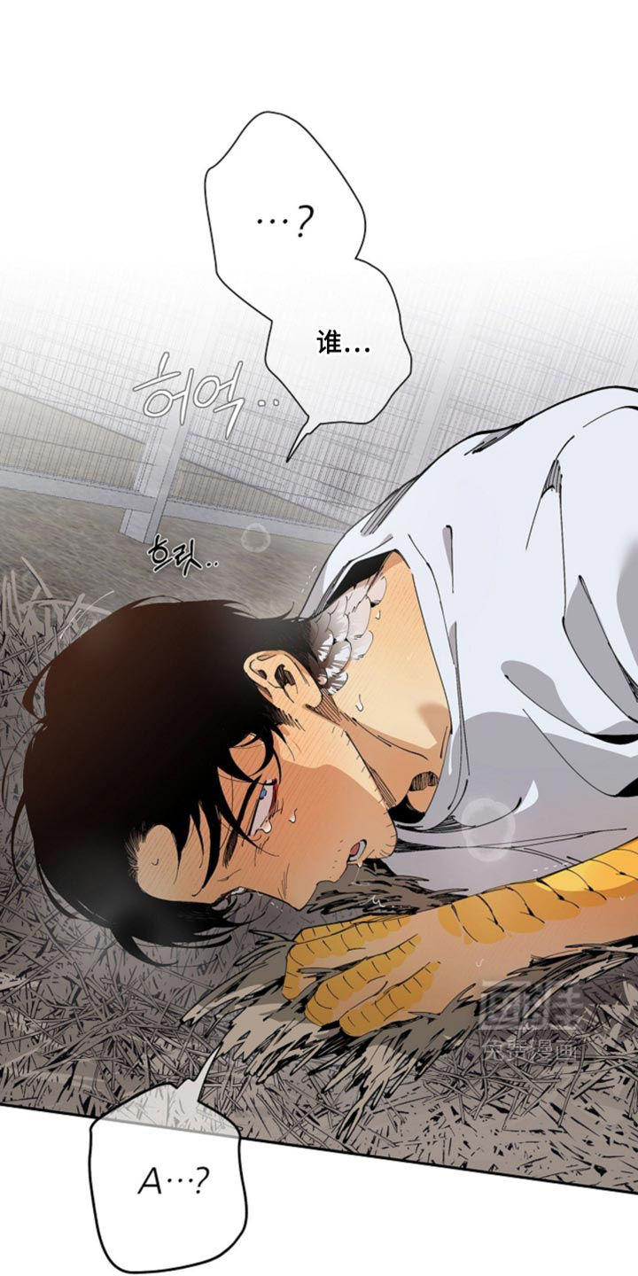 第20话0