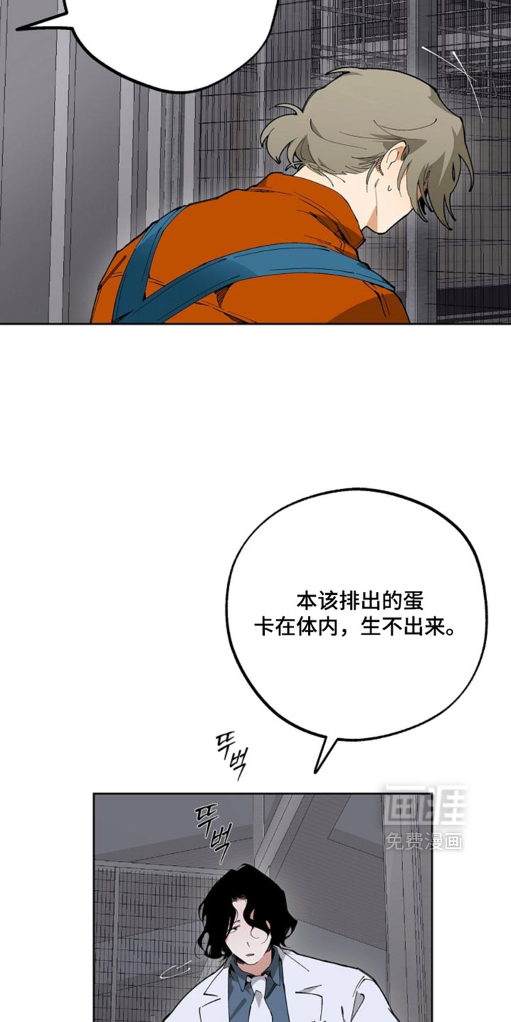 第19话17