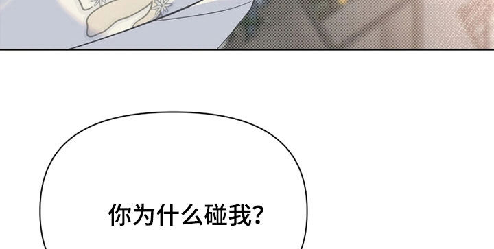 第36话19