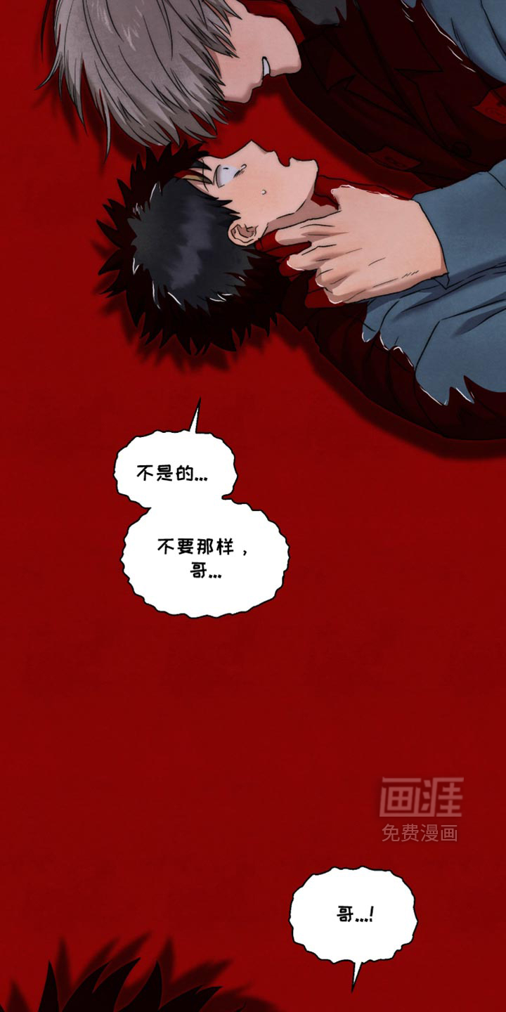 第161话17