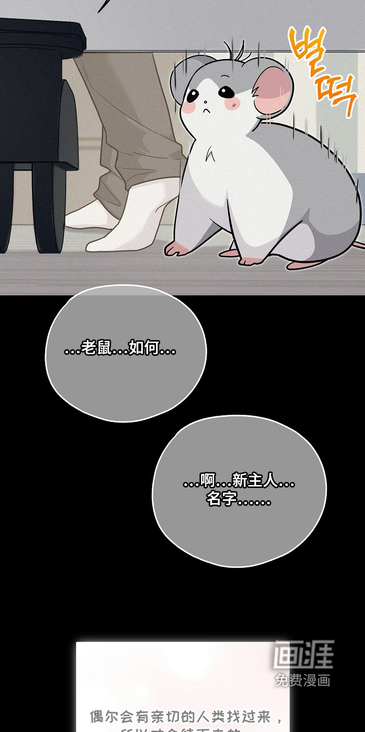 第38话7