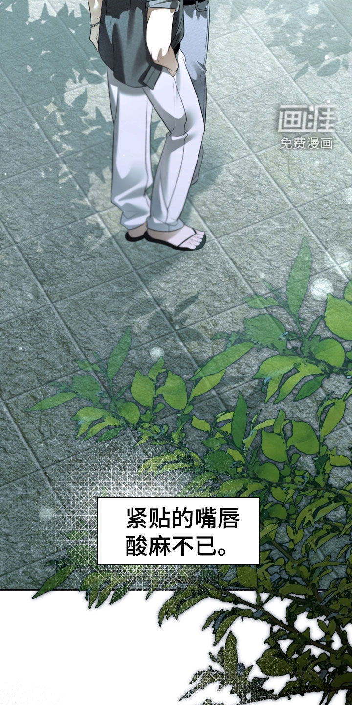 第117话14