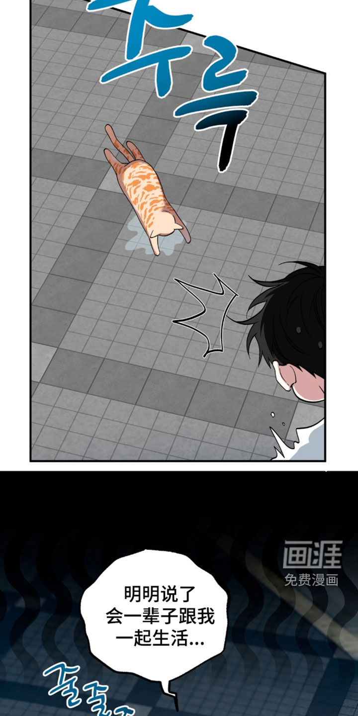 第49话22