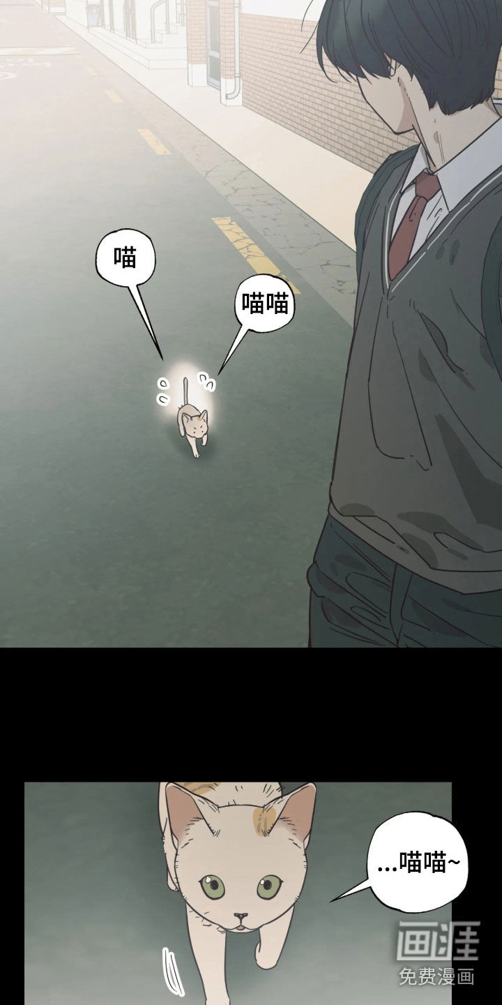 第54话4