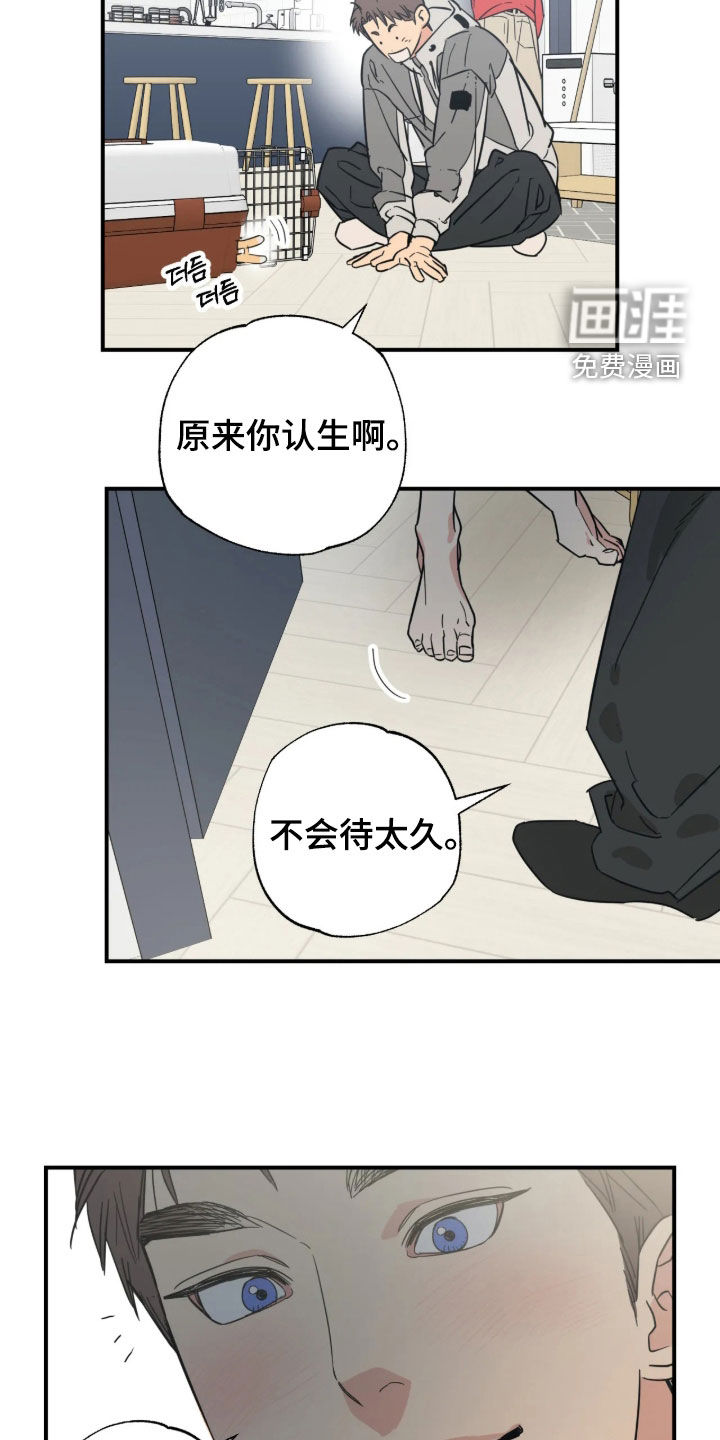 第54话19