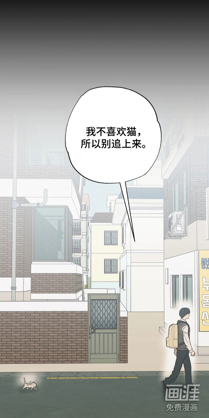 第54话6