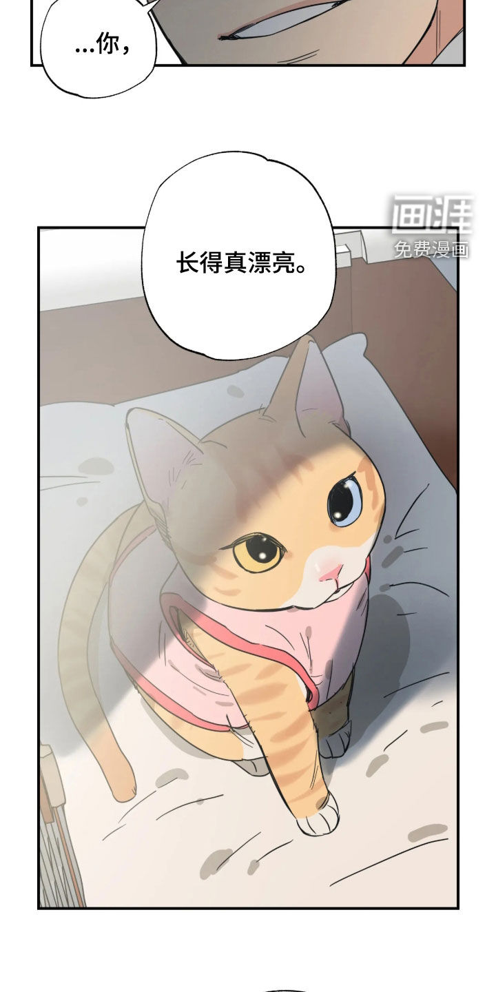 第54话20