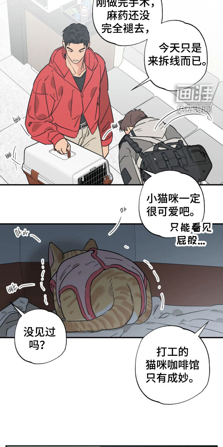 第54话12