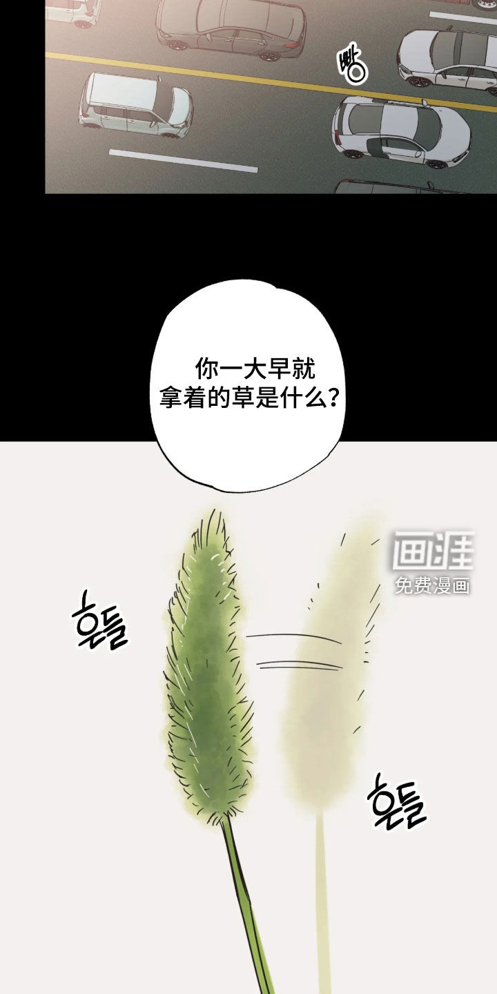 第53话13