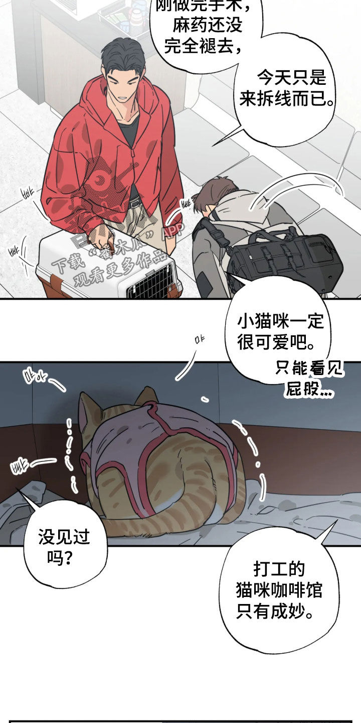 第58话12