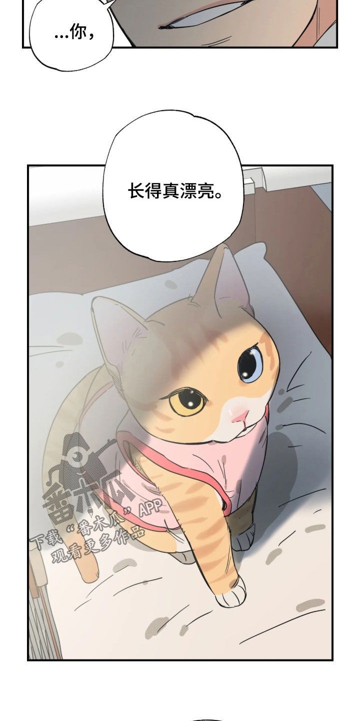 第58话20