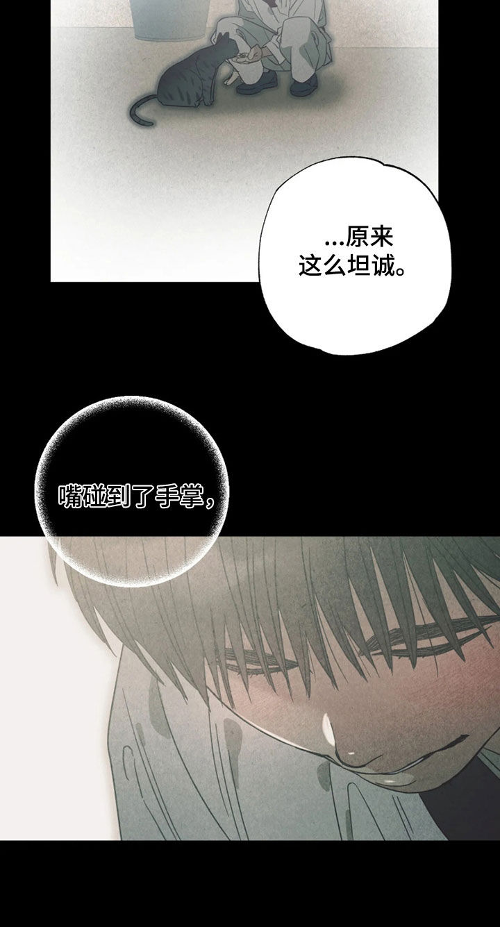 第56话21